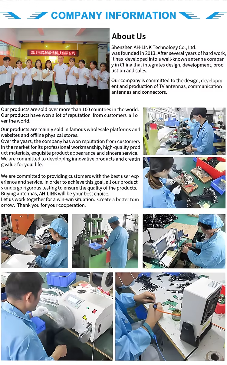 Company Profile.png